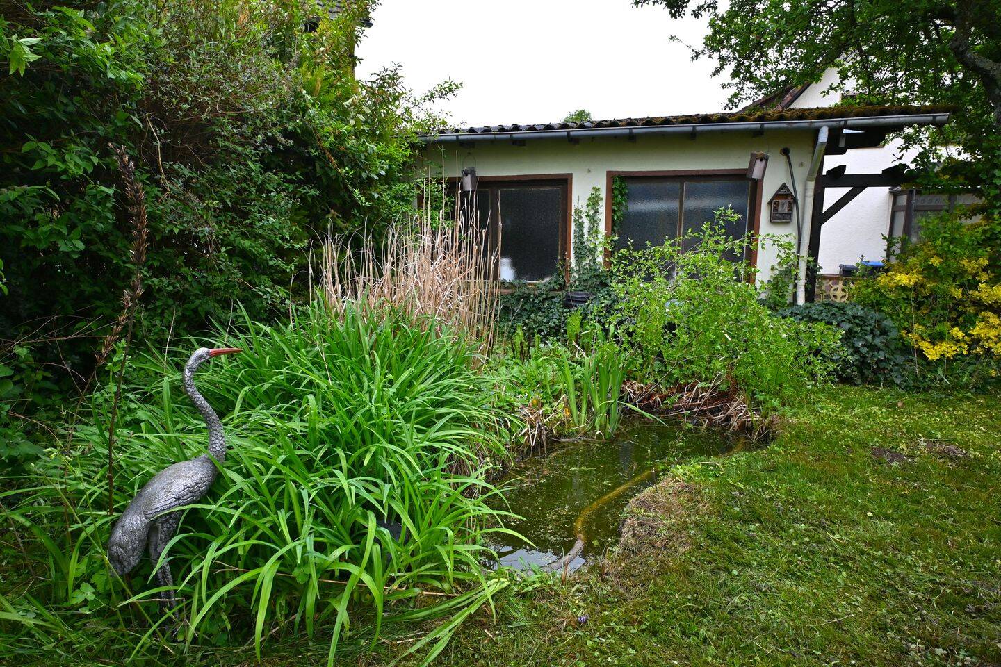 Bild 5