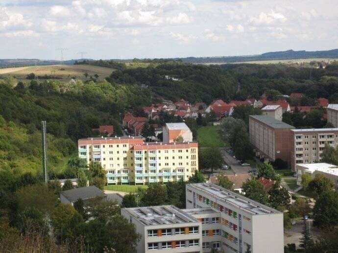 1-Raum sonnig im GRÜNEN mit BALKON+AUFZUG- zentral und gemütlich, 6502 Thale