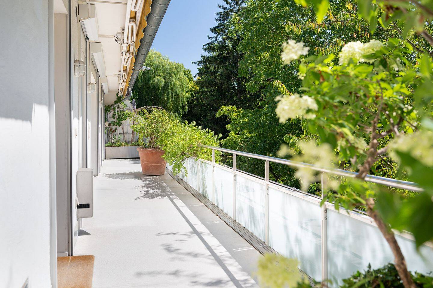H&G – Schwabing! Englischer Garten! 7 Zimmer, 3 Balkone, unendliche Möglichkeiten für Ihre Vision