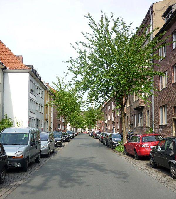Kurzfristig zu vermieten! Ruhige 58 m²-City-Whg. im Südviertel/Nähe Südpark!, 48153 Münster (Berg Fidel Centrum Geist)