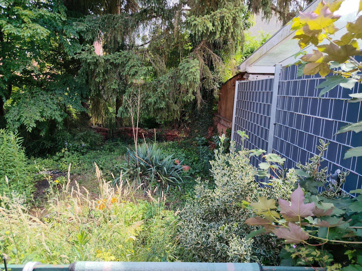 Bild 5