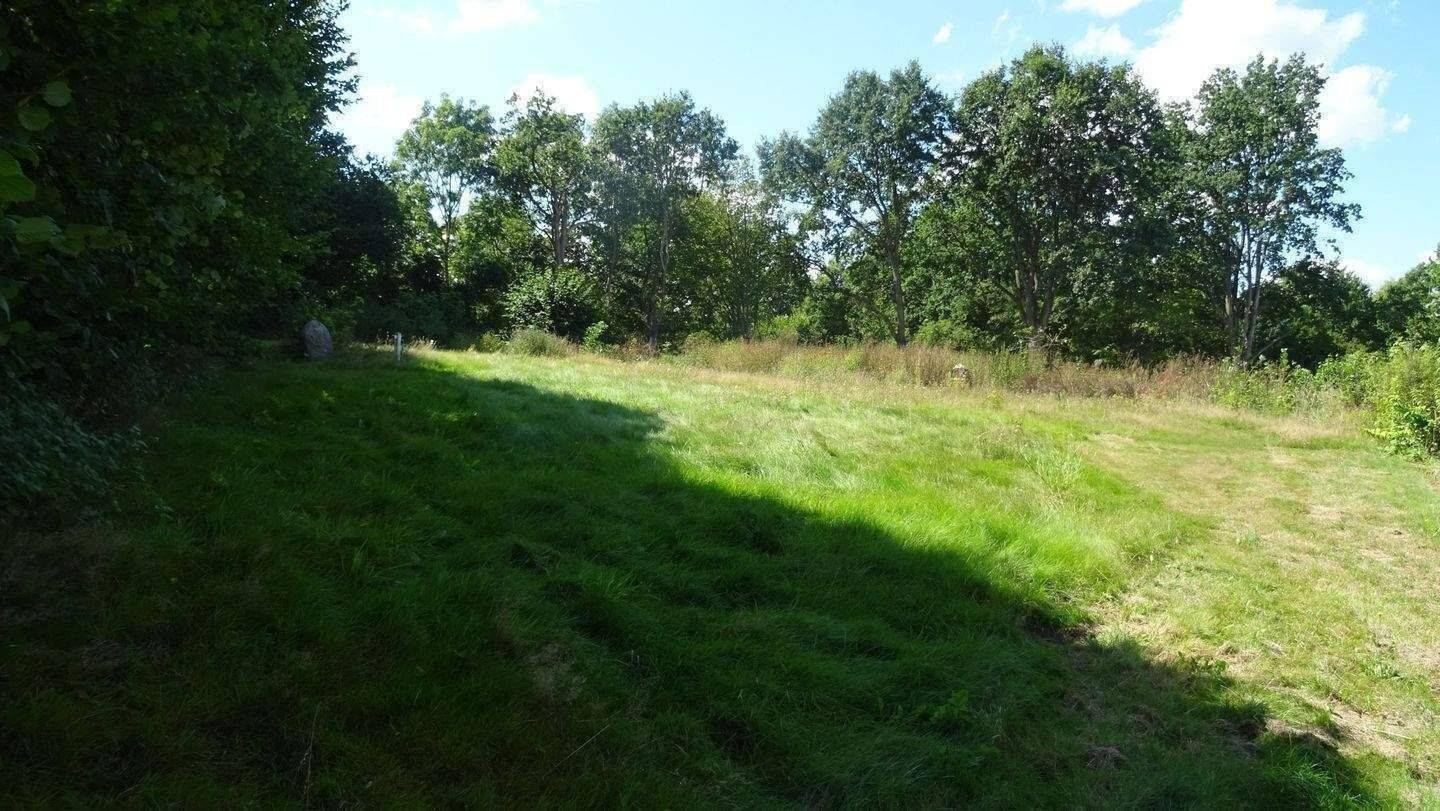 Baugrundstück 981 m² und 1.678 m² Obststreuwiese – „Alte Siedlung“ – Grönwohld, 22956 Grönwohld
