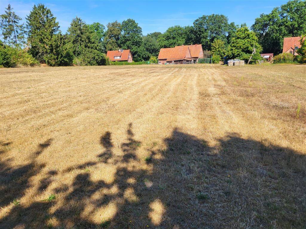 Bauland wartet auf Sie …, 31609 Balge