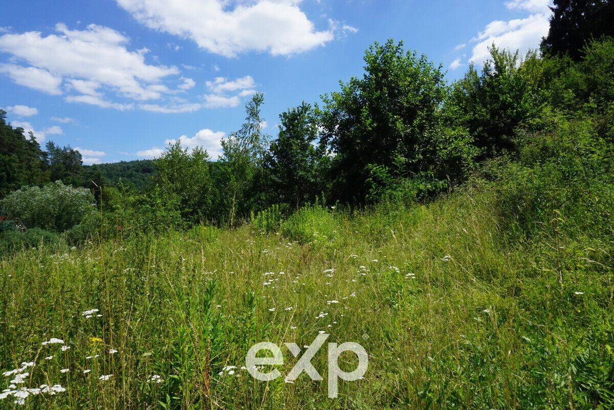 Träumen Sie noch von Baugenehmigungen im Wald, oder projektieren Sie schon? 4.000 m² B-Plan-Areal., 66851 Horbach