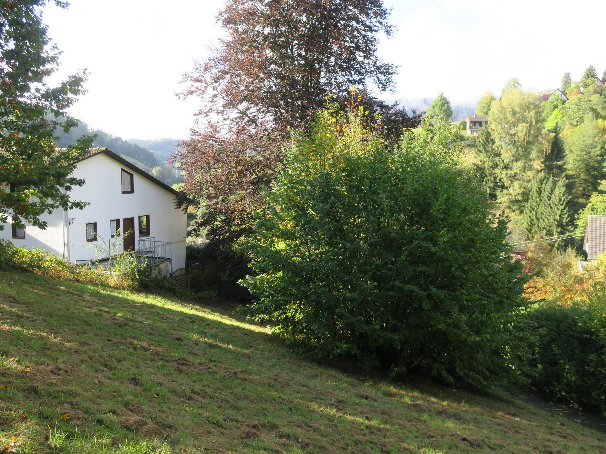 Über den Dächern von Alpirsbach, 72275 Alpirsbach
