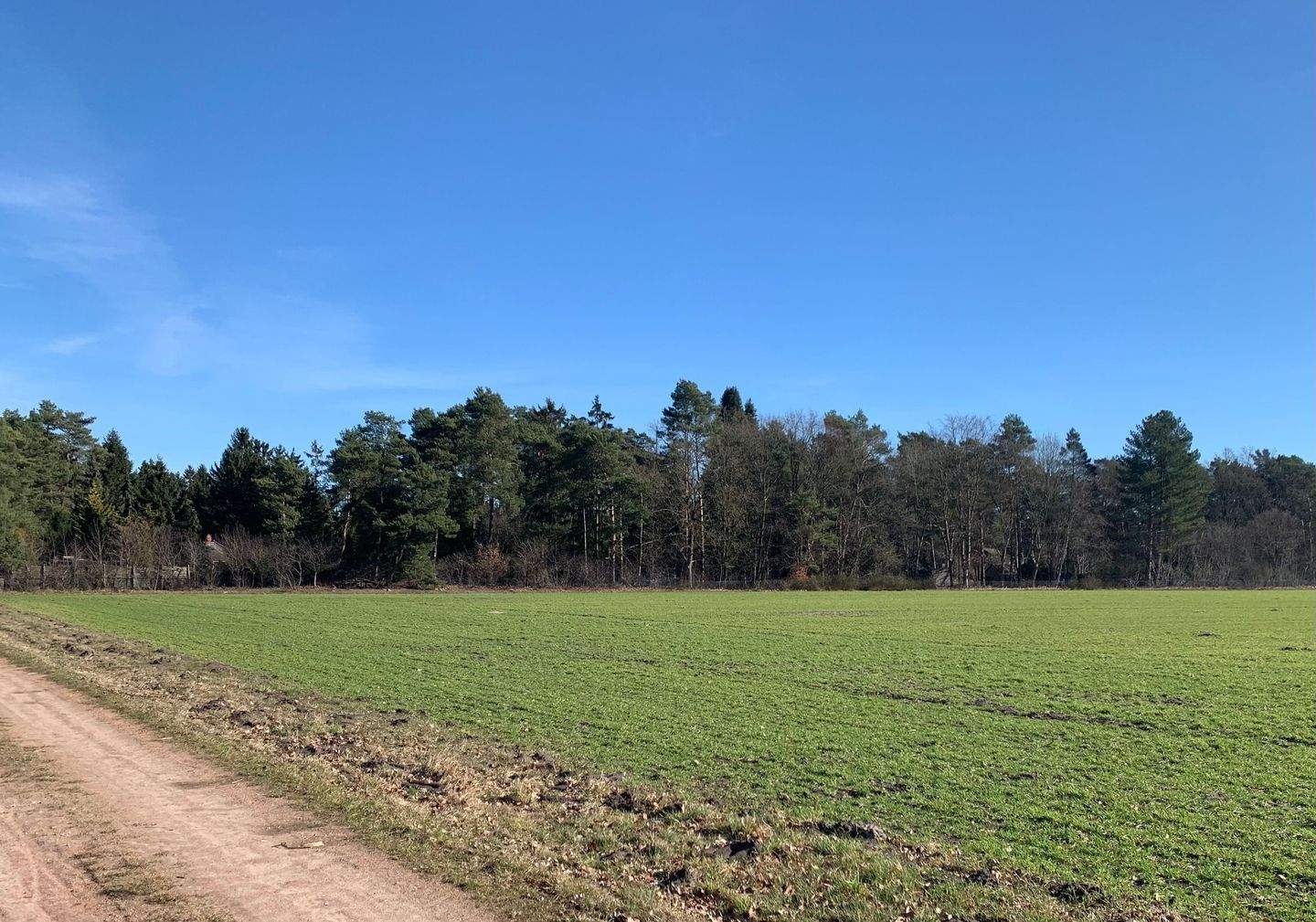Naturparadies in der Lüneburger Heide – Baugrundstück 4000 qm im Wochenendgrundstück von Thören, 29308 Winsen (Aller)