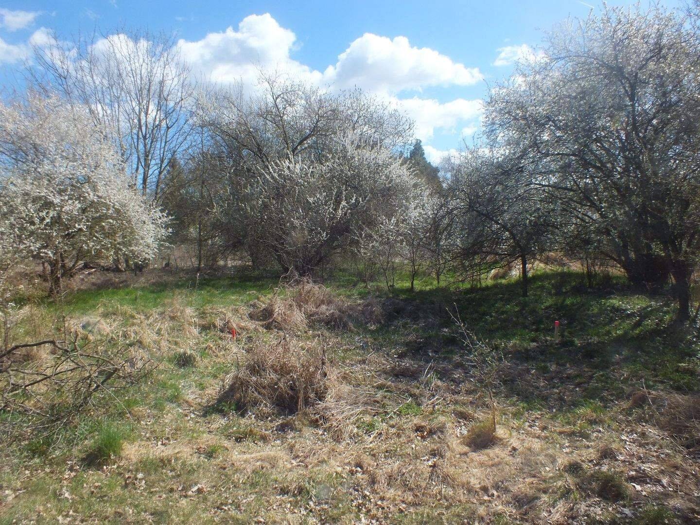 Provisionsfreie Grundstücke für Ihr Tinyhaus in der schönen Uckermark zu verkaufen!, 17268 Boitzenburger Land
