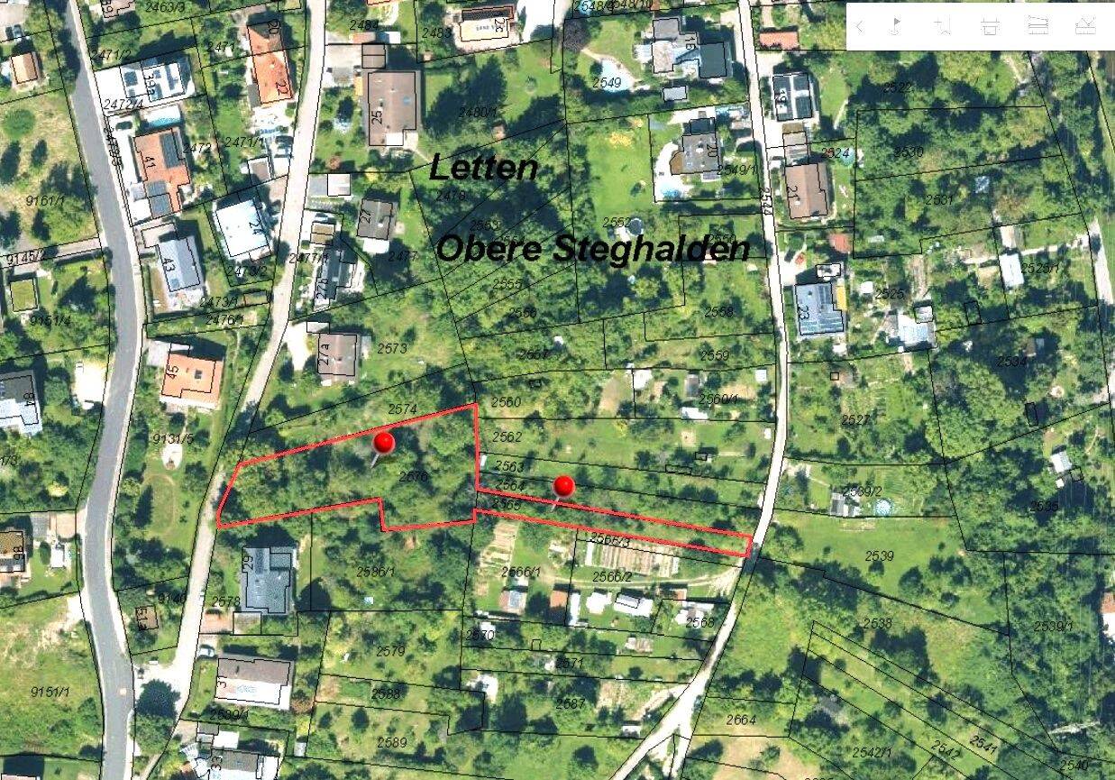 Großes Baugrundstück im Dornröschenschlaf – öffnen Sie die Sicht über Lörrach !, 79539 Lörrach