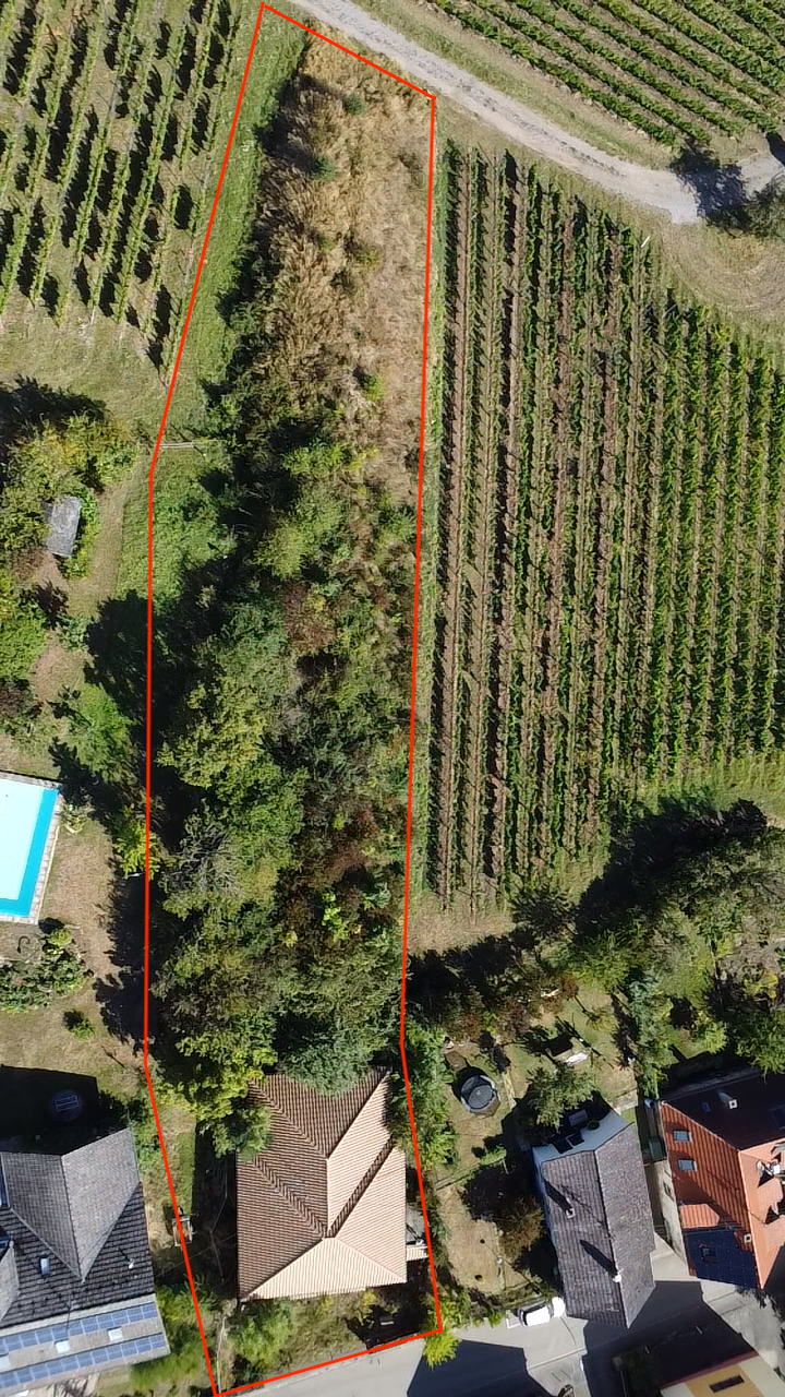 Traumgrundstück mit unverbaubarem Blick auf das Hambacher Schloss, 67487 Maikammer