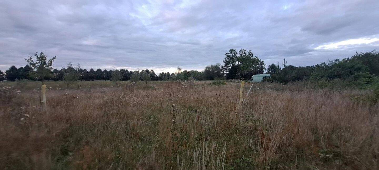 Großes Baugrundstück im Naturpark Westhavelland, 14715 Seeblick