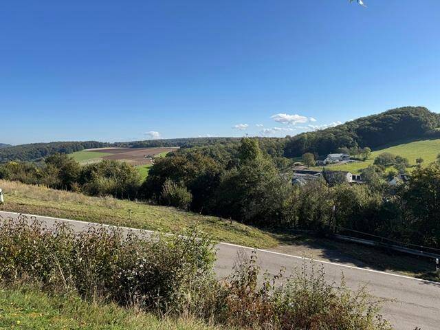 670 qm voll erschlossenes Baugrundstück in Onsdorf, 54456 Onsdorf