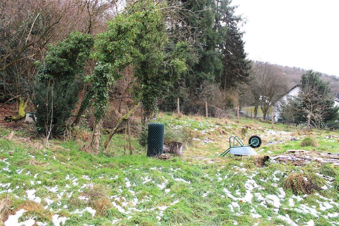 Investieren mit Weitblick: Bauerwartungsland in Tonlage von Eberbach, 69412 Eberbach