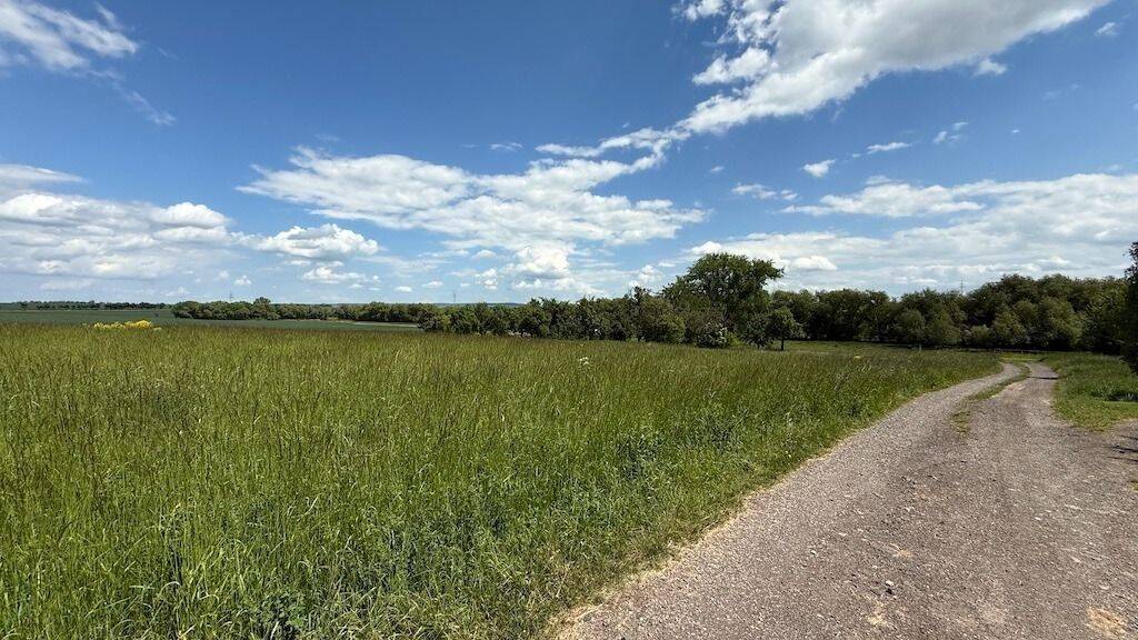 Idyllisch am Ortsrand, 99310 Arnstadt