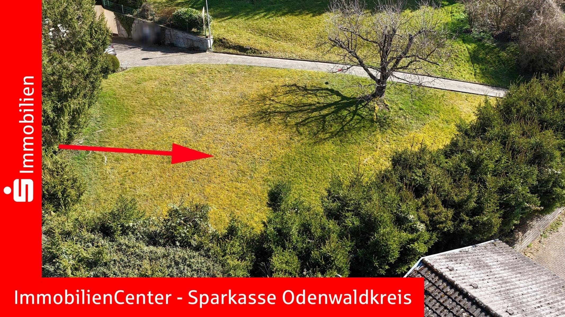 Sonnig und mit Ausblick. Baugrundstück in Westhang-Lage, 64739 Höchst i. Odw.