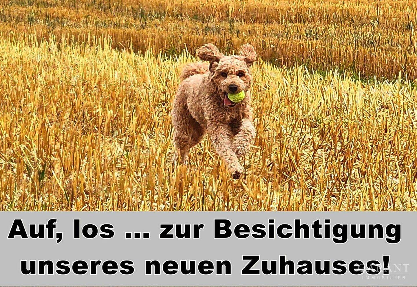 *** Schönes Baugrundstück für EFH ***, 89558 Böhmenkirch
