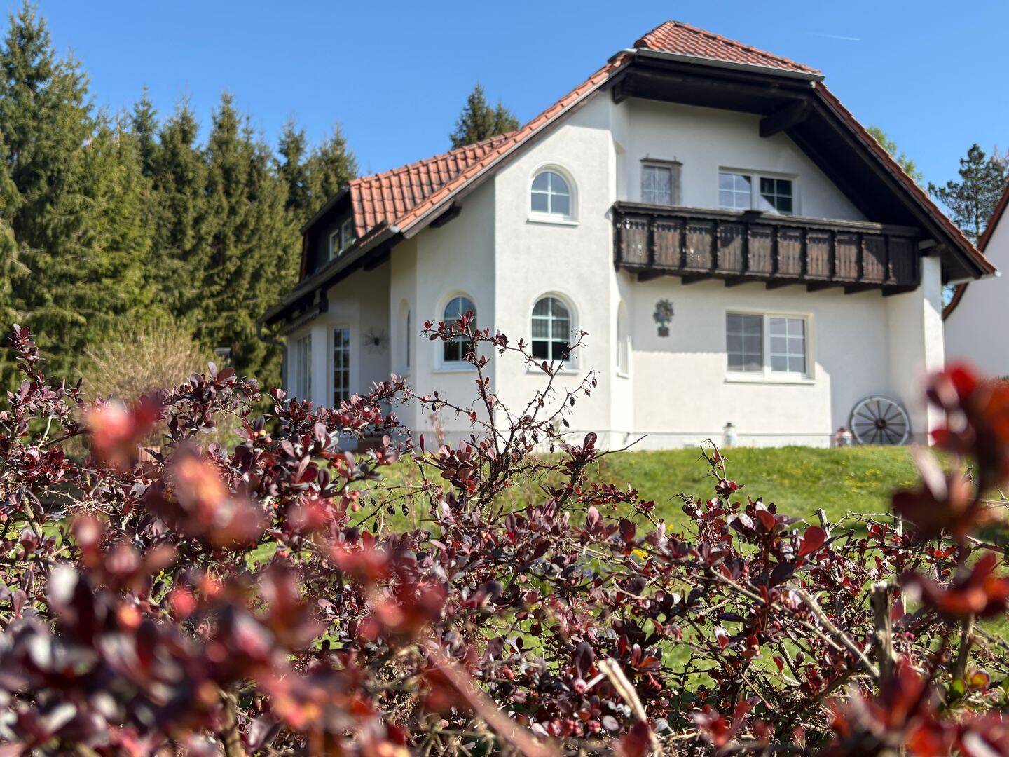 Viel Platz zum Leben im Einfamilienhaus mit Traumgrundstück in Sangerhausen, 6526 Sangerhausen
