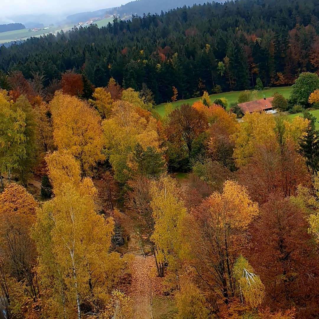 35.000 m² Grundstück im Zentrum von Spiegelau, 94518 Spiegelau