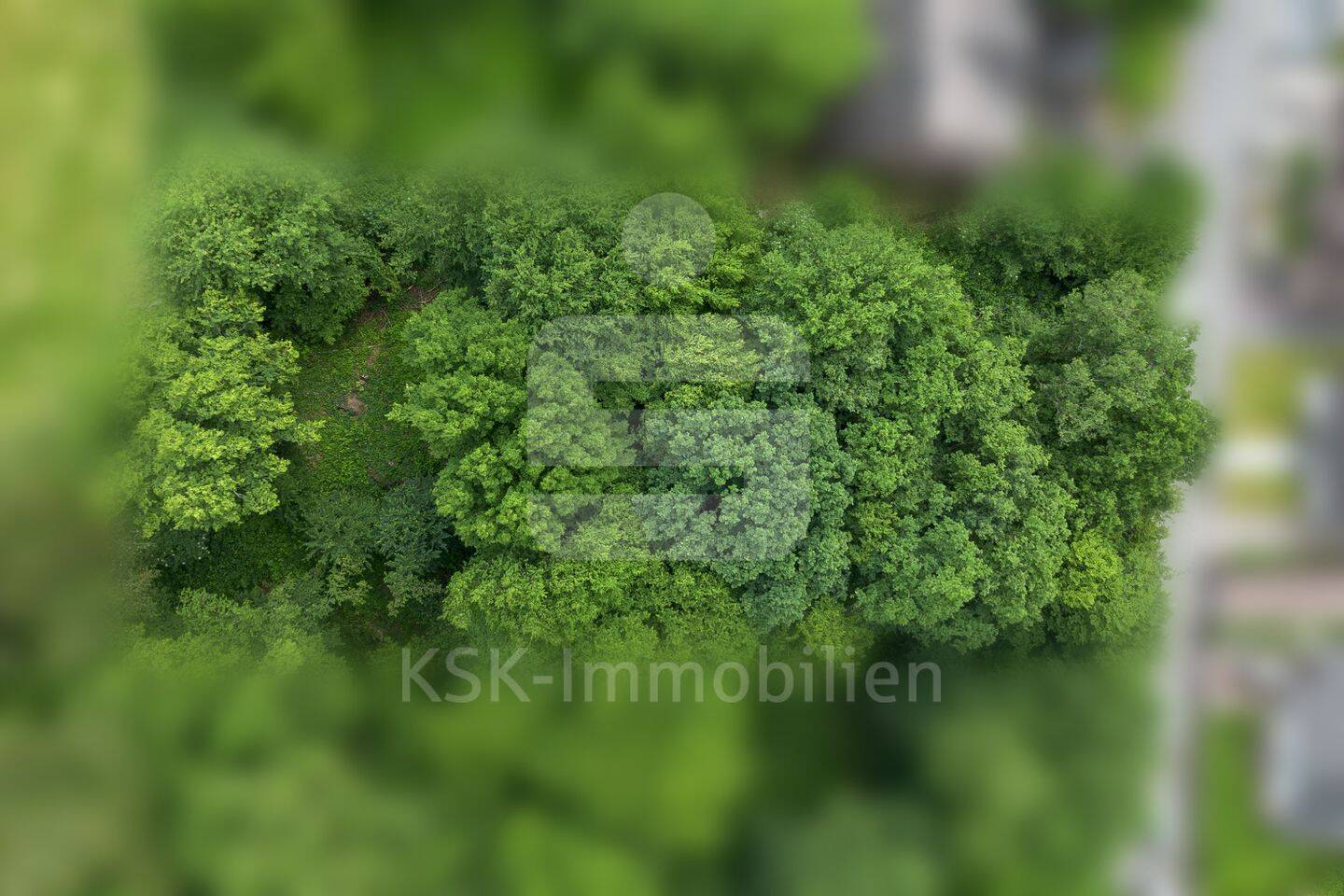 Baugrundstück mit tollen Baumbestand. Ein Paradies für die Pänz!, 53783 Eitorf