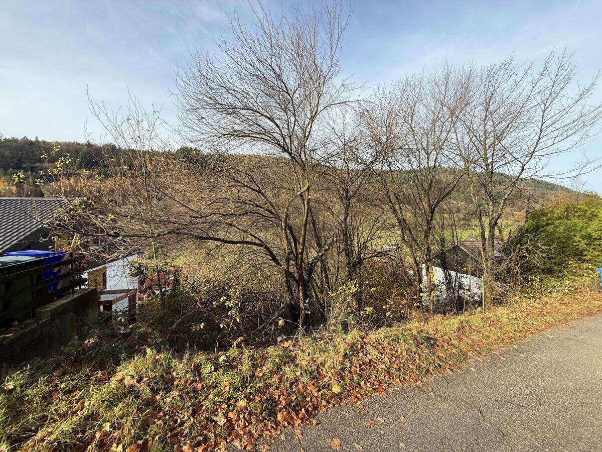 Schönau: erschlossenes Baugrundstück in sonniger Hanglage, 69250 Schönau