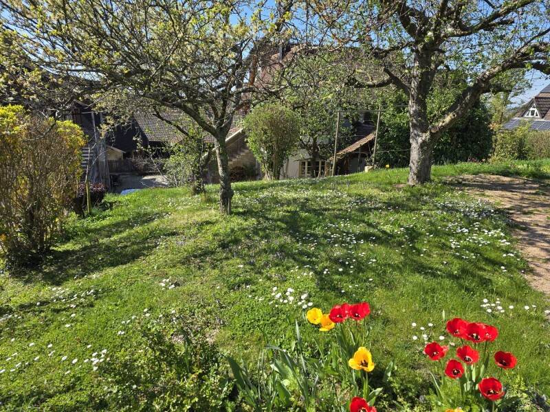 Neu zu vermessendes Baugrundstück, 79379 Müllheim