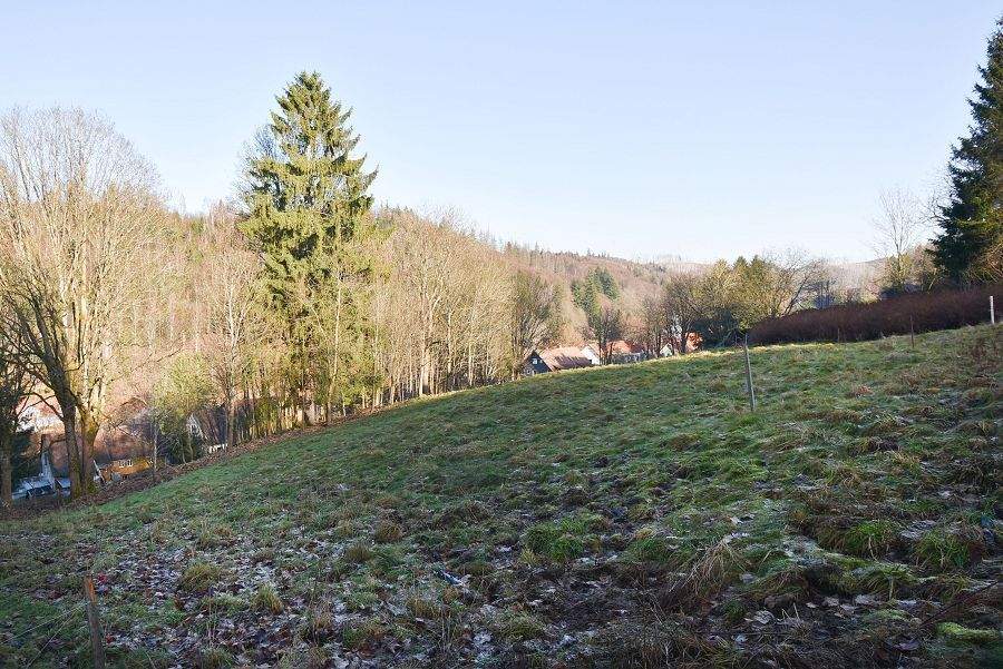 Bauherren aufgepasst: Großes, interessantes Baugrundstück in Altenau…, 38707 Clausthal-Zellerfeld