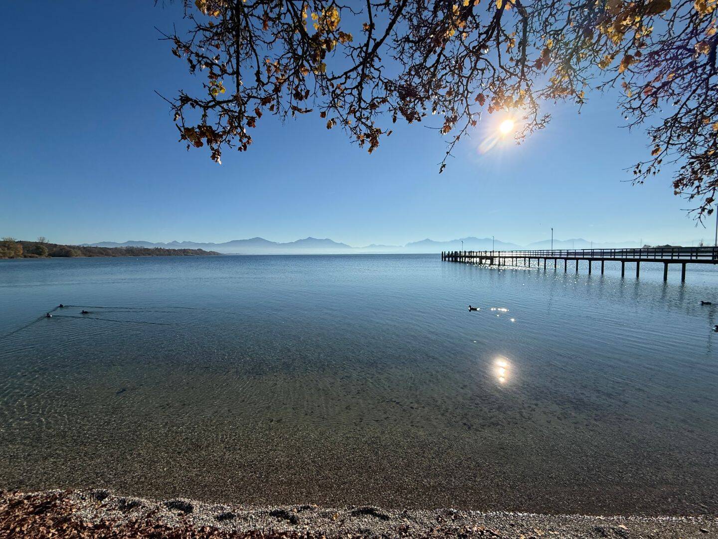 Exklusives Wohnensemble in Seebruck am Chiemsee, 83358 Seeon-Seebruck