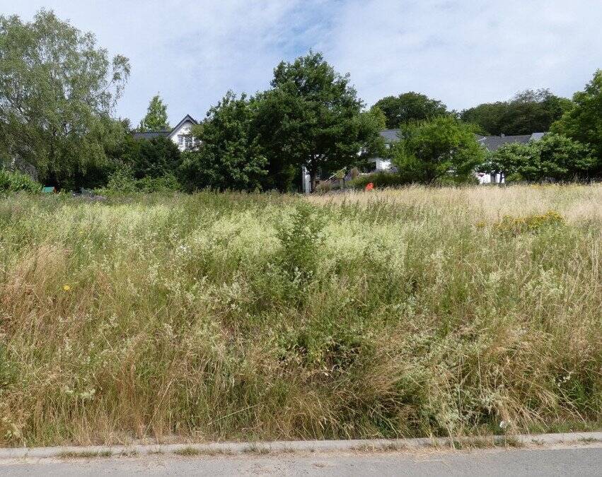 Baugrundstück im Neubaugebiet Werdohl-Düsternsiepen, 58791 Werdohl