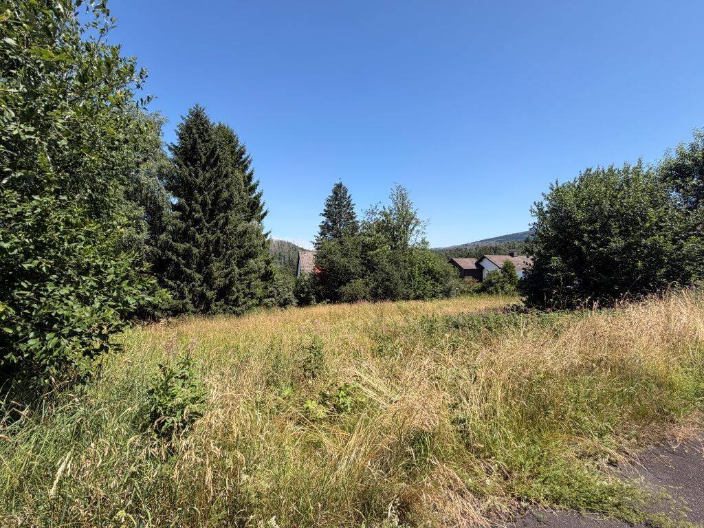 Traumhaftes Baugrundstück in begehrter Lage – 945 m² am Glockenberg in Altenau (Harz), 38707 Clausthal-Zellerfeld