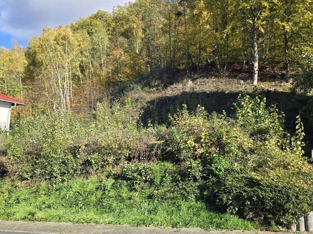 Sandbach – Sonniges Grundstück am Waldrand – auch MFH möglich, 64747 Breuberg
