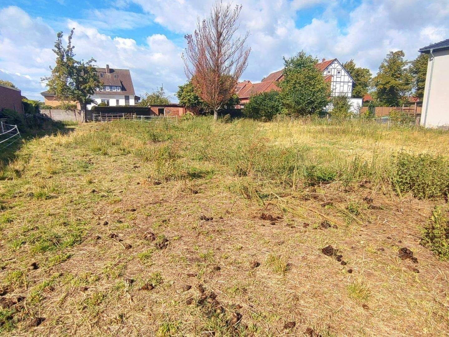 973 m² Baugrundstück als Baulücke – vielseitig bebaubar nach § 34 BauGB!, 31241 Ilsede