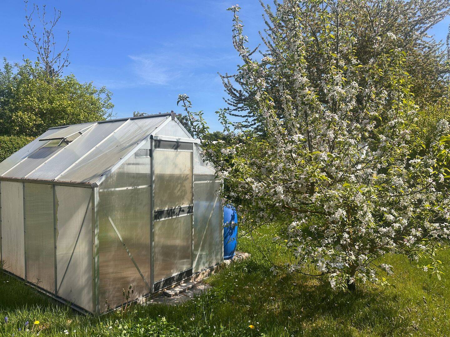 Sonniges Garten-/ Baugrundstück mit massivem Gartenhaus & Pool, 99974 Mühlhausen/Thüringen