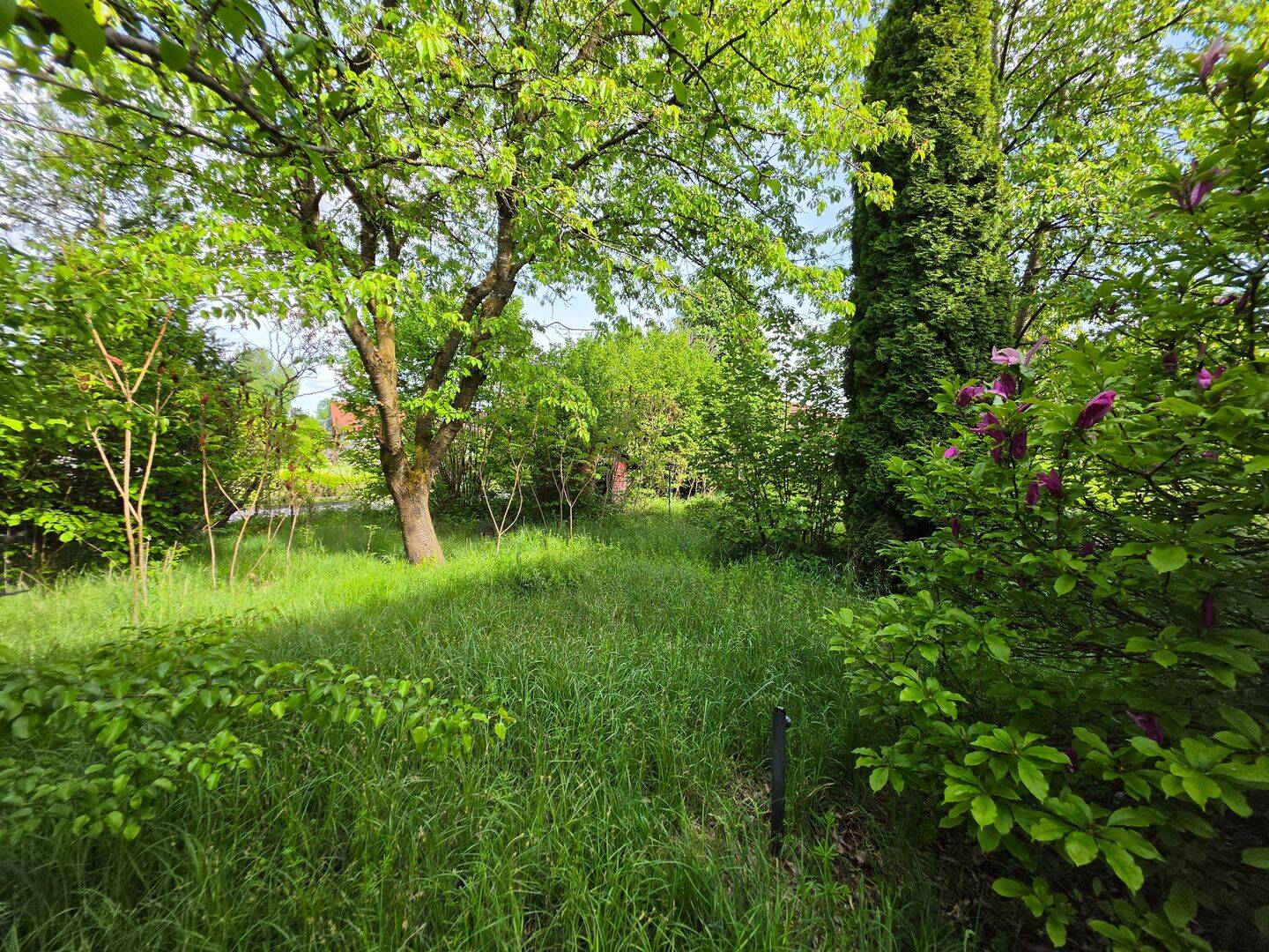 Ilmmünster! Baugrundstück in sehr ruhiger und naturnaher Lage bebaubar nach Nachbarbebauung!, 85304 Ilmmünster