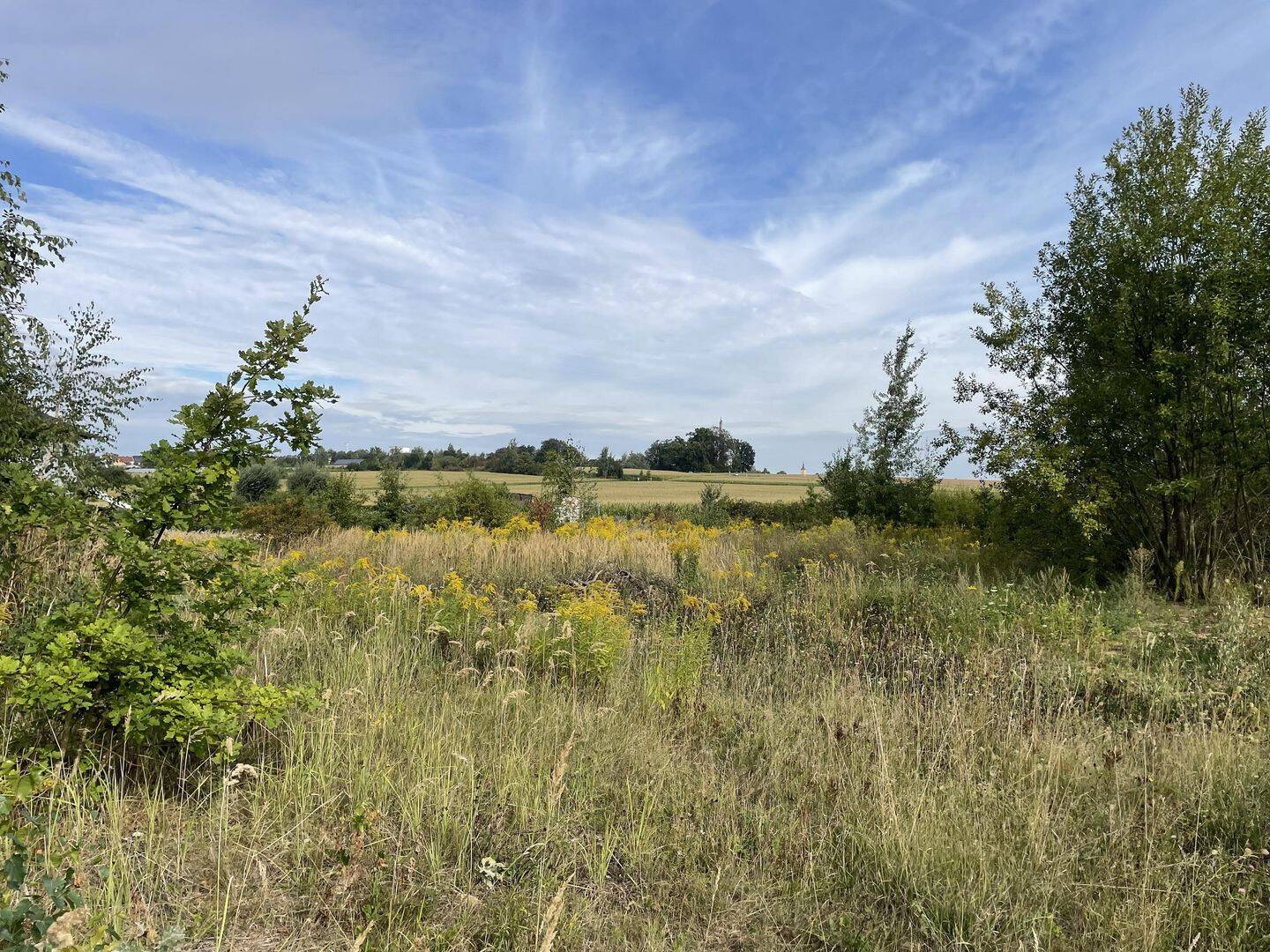 sonniges Baugrundstück am Rande von Waldheim, 4736 Waldheim