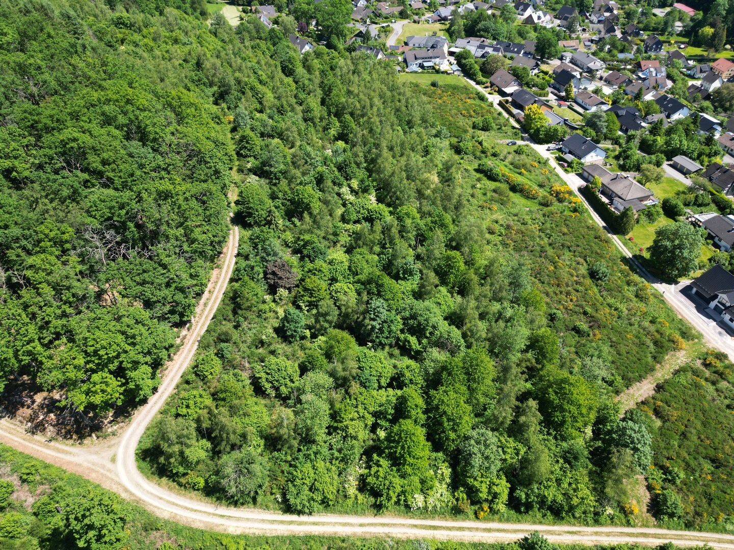 Wald bei Reichshof-Oberagger – ca. 15.000 m² Mischwald, 51580 Reichshof