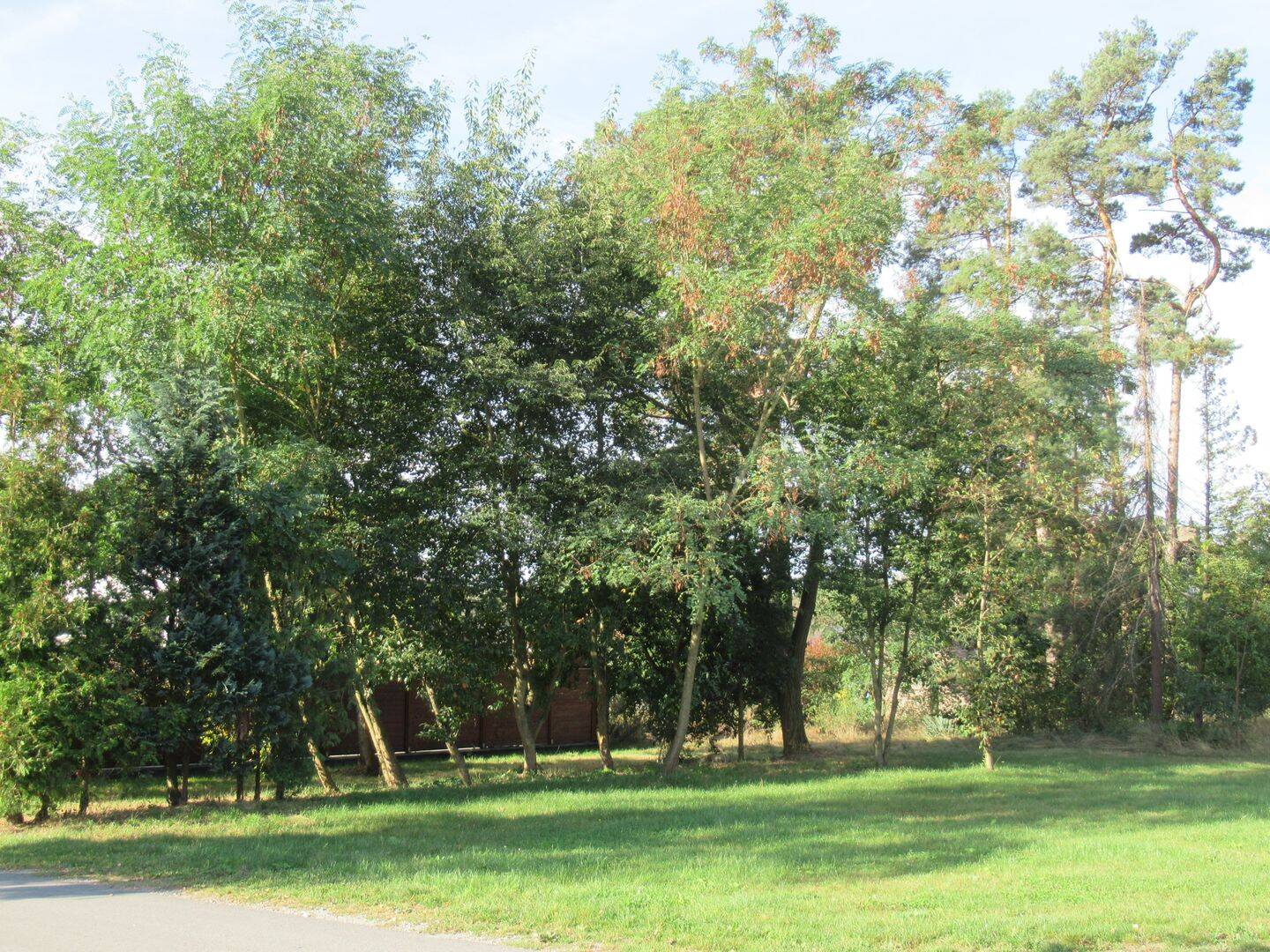 Grundstücke in verschiedenen Größen, 38524 Sassenburg