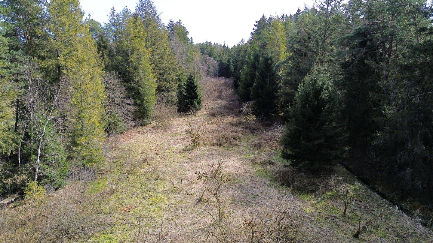 Landwirtschaftliche Fläche mit Wald und Wiese, 83125 Eggstätt