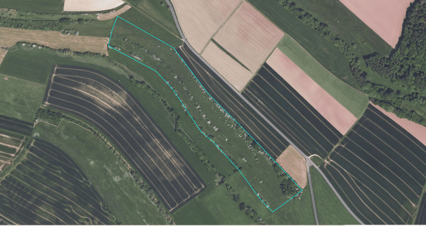 Grünland- Wiesenfläche in Gransdorf zu verkaufen, 54533 Gransdorf