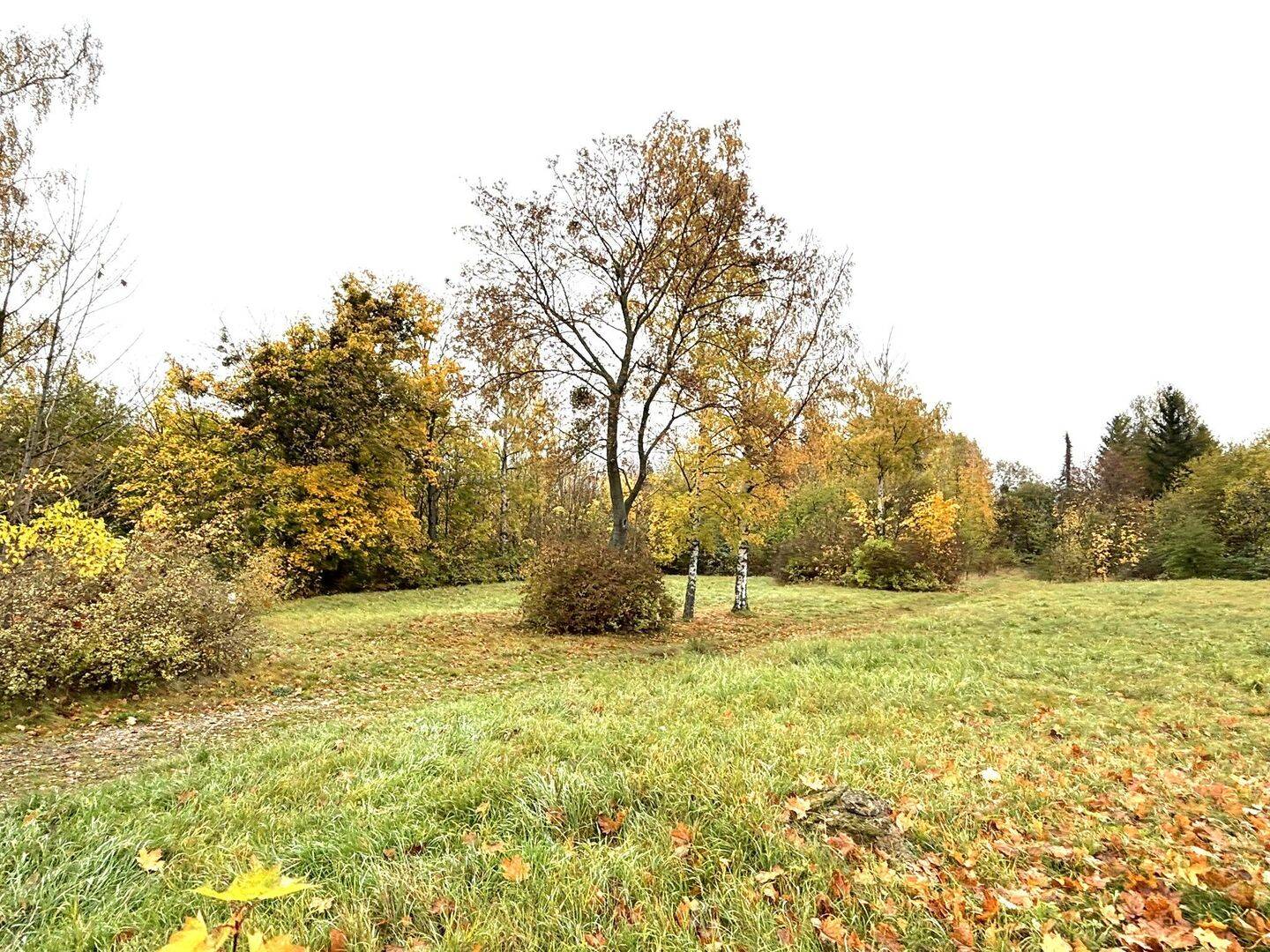 17.000 m² Wohn- und Gewerbegrundstück in Wernigerode, 38855 Wernigerode