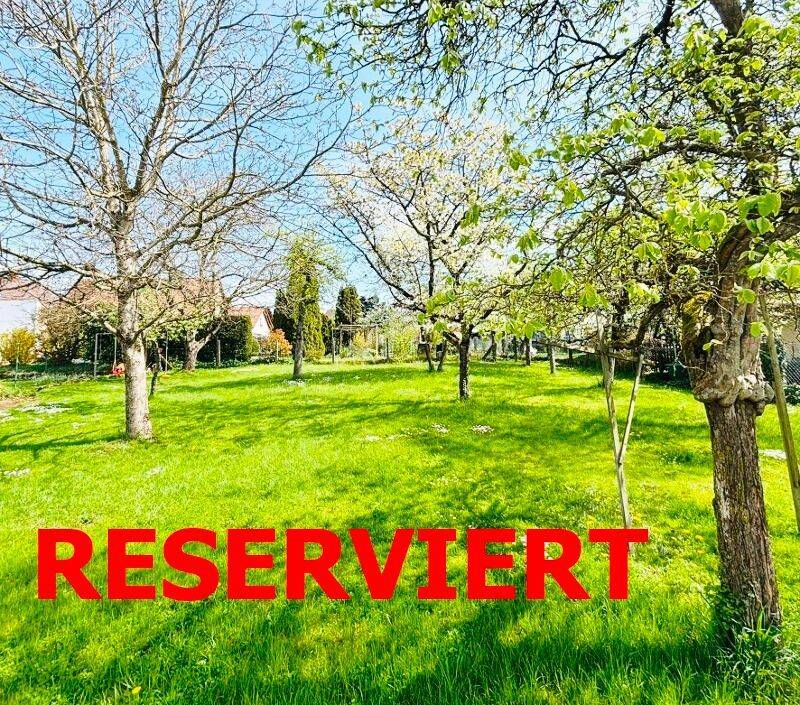 SETENHEITSWERT:  Sonniges Baugrundstück in ruhiger Lage im Ortskern!, 78247 Hilzingen
