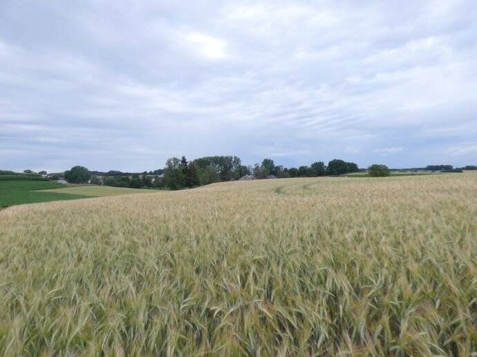 Hilgertshausen-Tandern, 2 landwirtschaftliche Grundstücke, arrondiert, Ortsrandlage, 86567 Hilgertshausen-Tandern