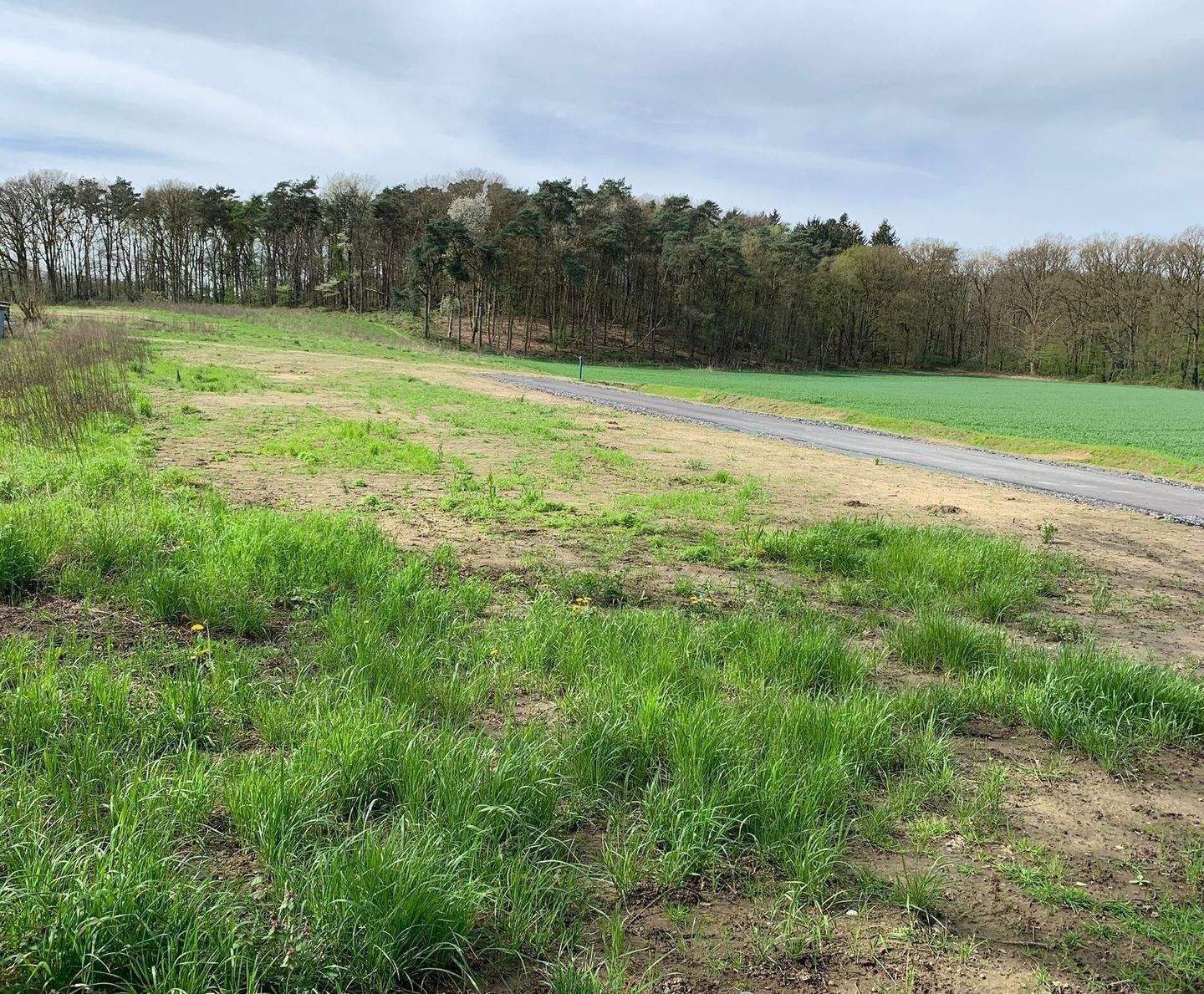 Optimales Baugrundstück in äußerst beliebter stadt- und naturbezogener Lage von Haltern am See / 302 qm Grundstücksgröße / EP – Grundstück, 45721 Haltern am See