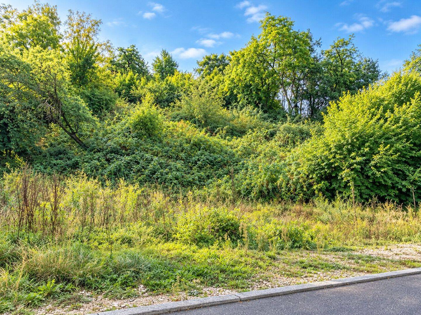 Einzigartiges Grundstück in Reutlingen-Bronnweiler, 72770 Reutlingen