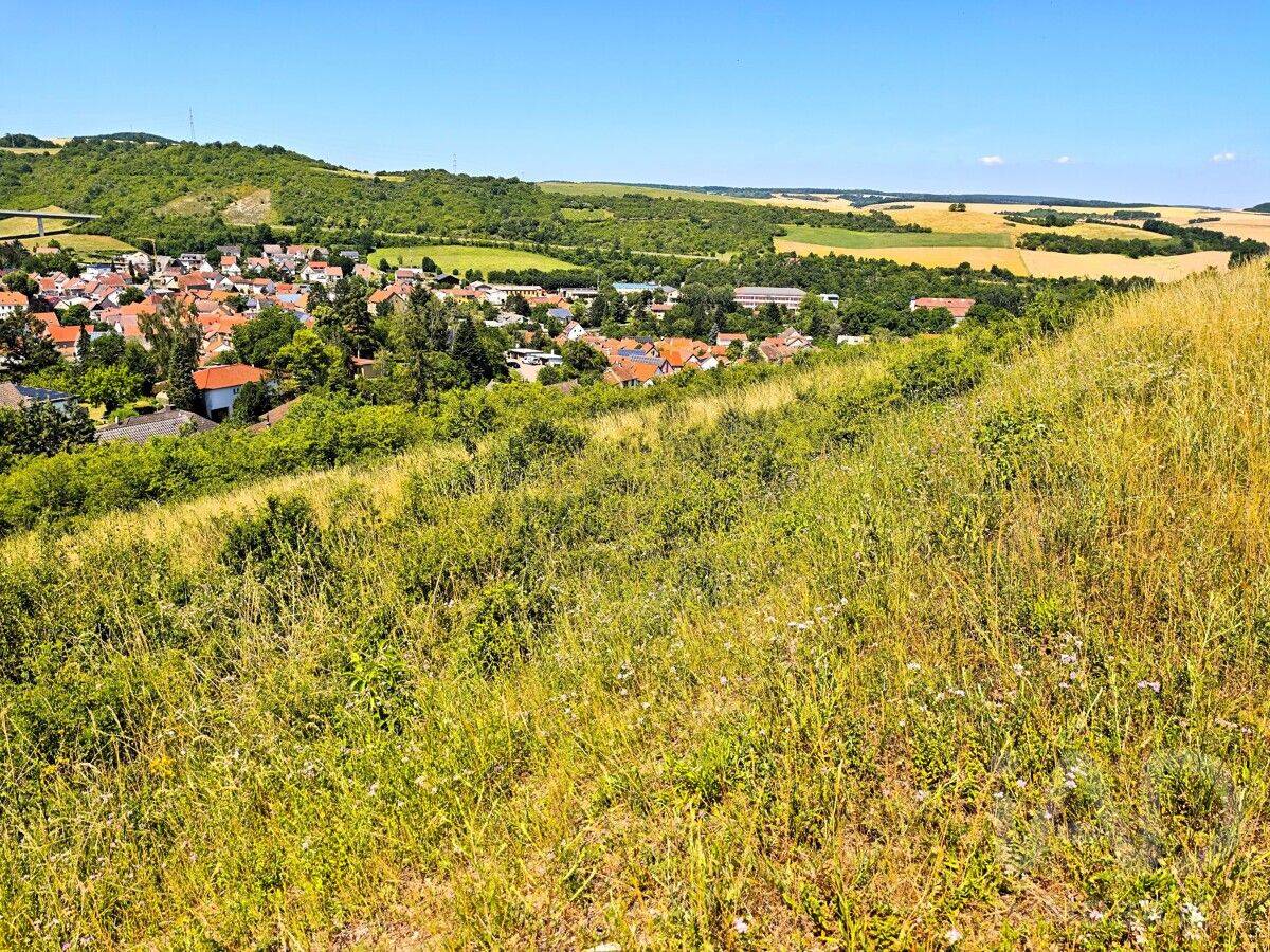 Neubaugebiet Alsenz: Dieser Ausblick könnte bald Ihnen gehören! 14 Baugrundstücke mit Panoramablick, 67821 Alsenz