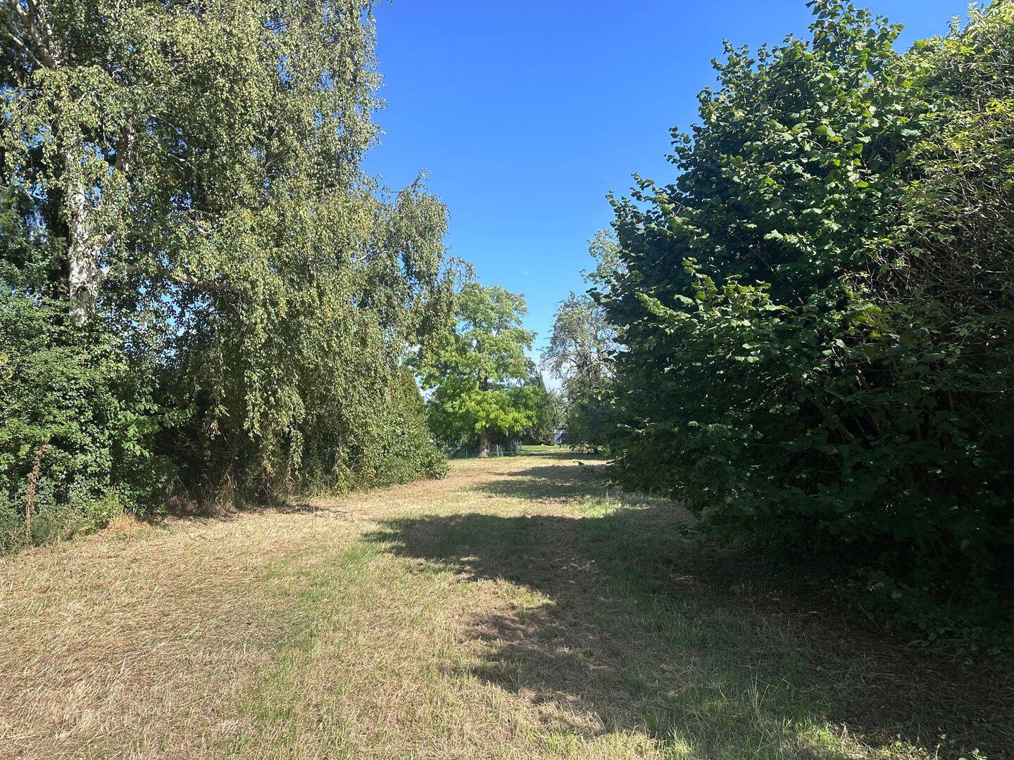 1.500 m² großes, bauträgerfreies Baugrundstück in zentrumsnaher Lage…, 32361 Preußisch Oldendorf