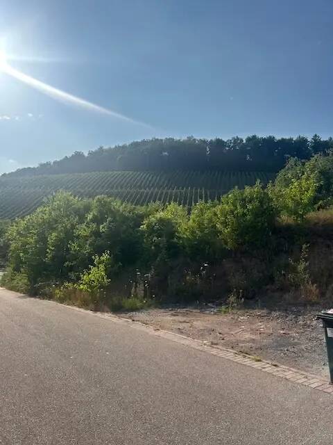 Großes, unbebautes Grundstück in traumhafter Lage von Östringen-Tiefenbach, 76684 Östringen