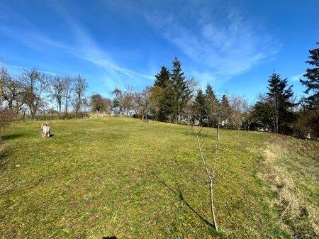 Baugrundstück in Niederfüllbach mit Baugenehmigung! EFH + MFH, 96489 Niederfüllbach