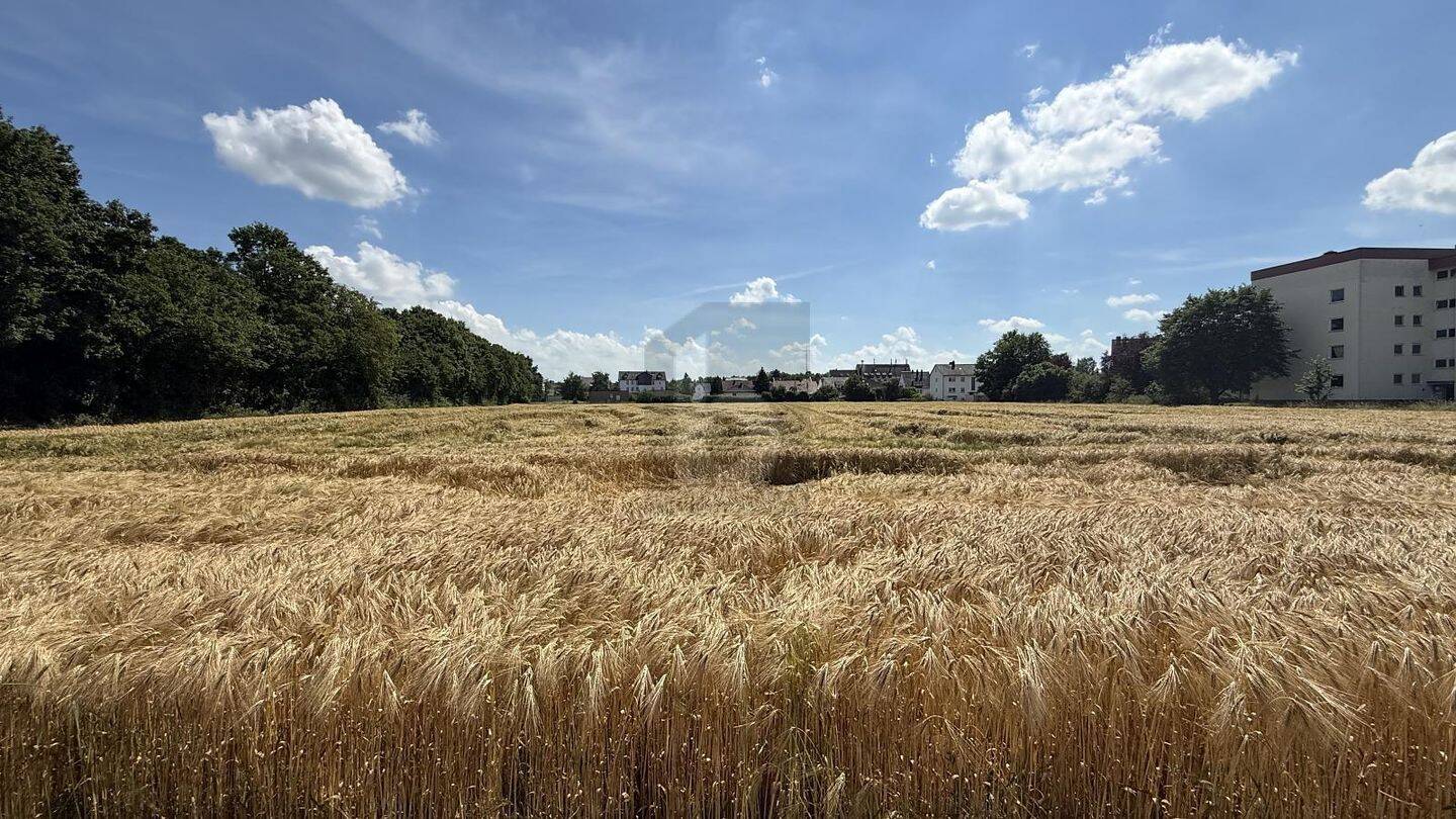 ATTRAKTIV MIT VIELFÄLTIGEN BEBAUUNGSMÖGLICHKEITEN, 34590 Wabern