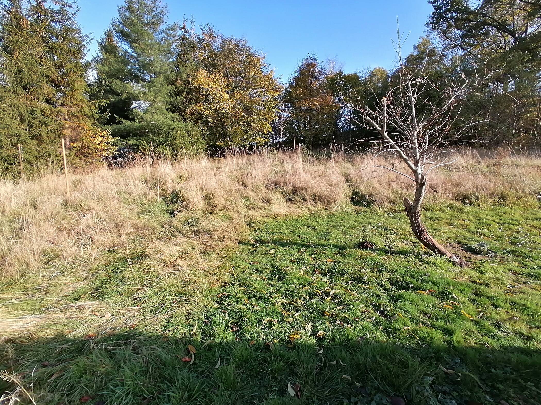 Baulücke in Idyllischer Lage, ca. 787 m² Grundstücksfläche!, 4720 Döbeln