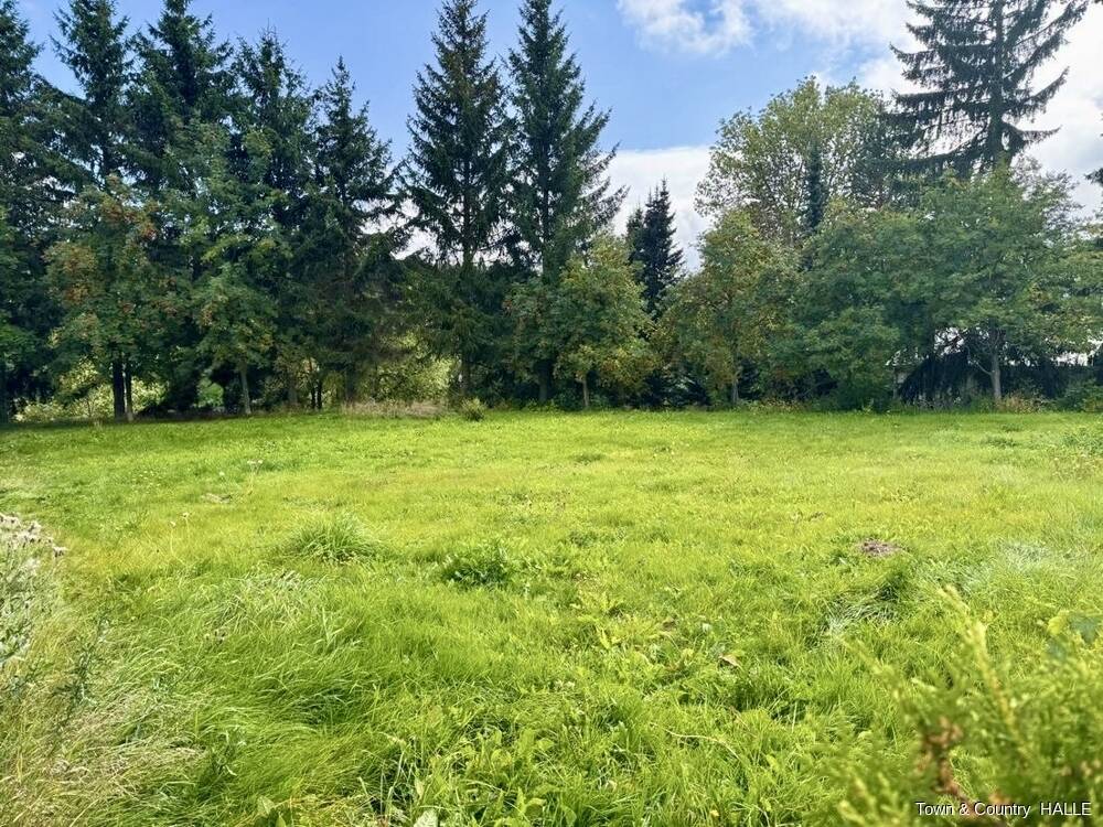 Einzigartige Baugrundstücke in Premiumlage – Halle-Dölau / Blumenau -Nähe Waldstrassensiedlung, 6120 Halle (Saale) (Dölau Heide Nord Heide Süd Kröllwitz Lettin)