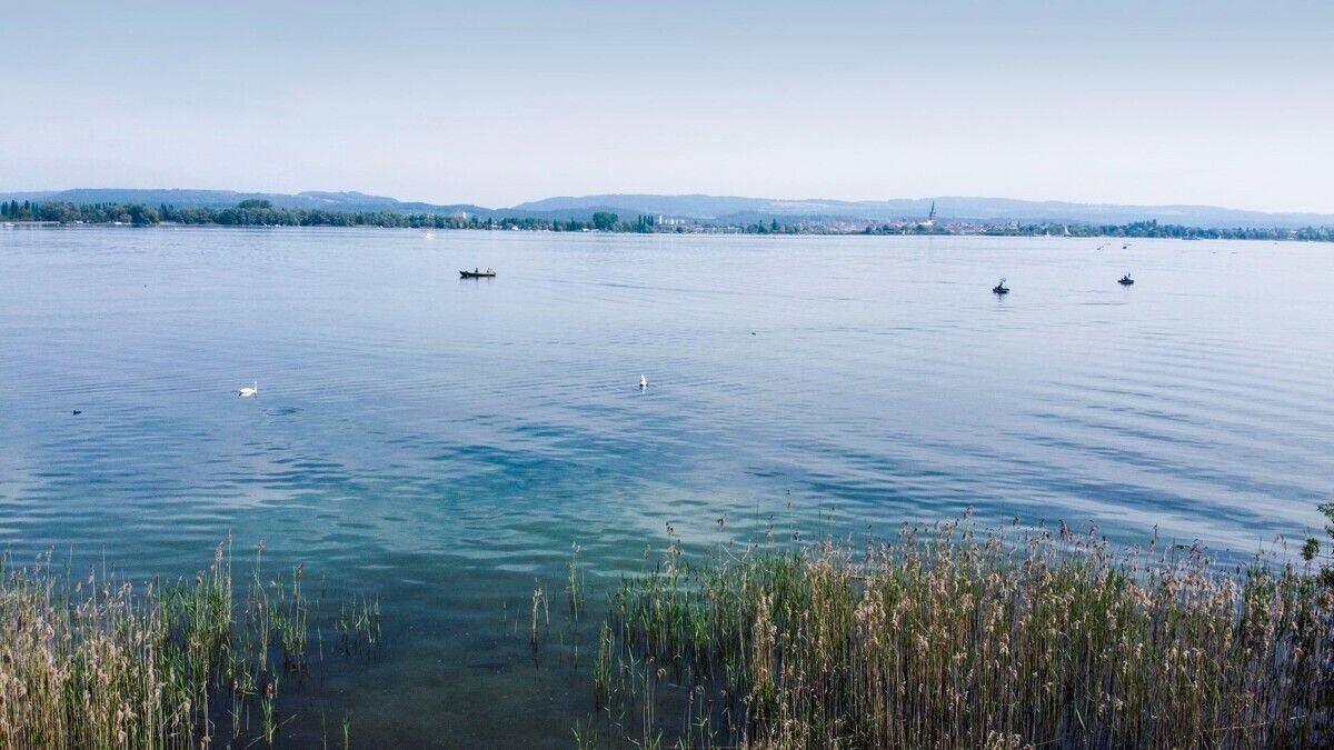 Naturgrundstück mit Seeanstoß, 78345 Moos